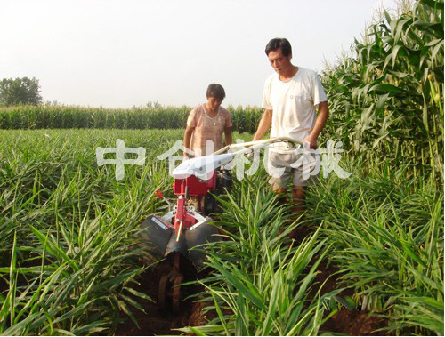 大姜開溝培土機(jī)