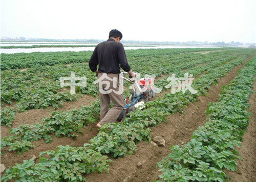 馬鈴薯開(kāi)溝培土機(jī)